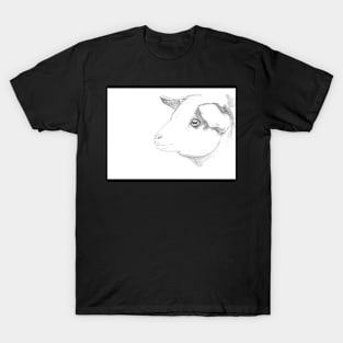 Goat pencil drawing greeting card by Nicole Janes T-Shirt